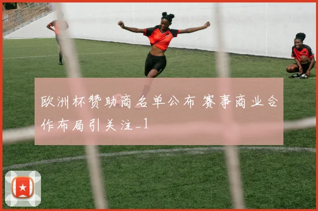 欧洲杯赞助商名单公布 赛事商业合作布局引关注_1