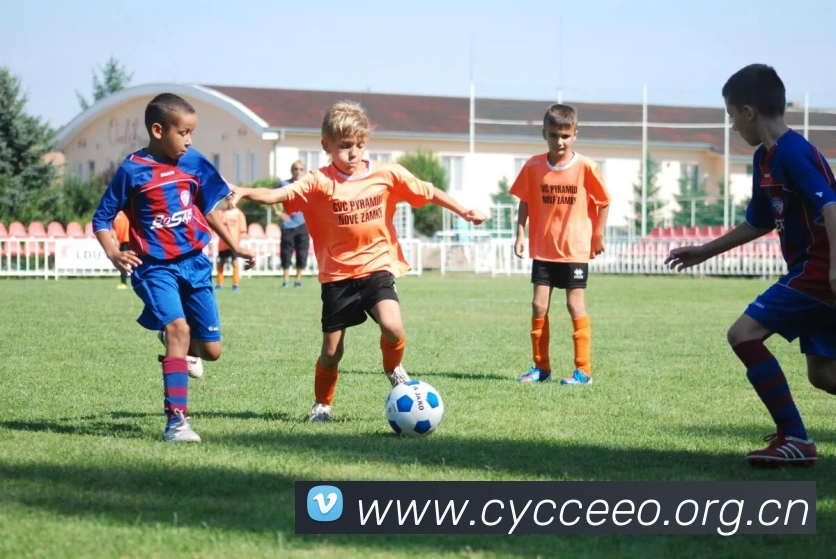 leyu乐鱼发展历程